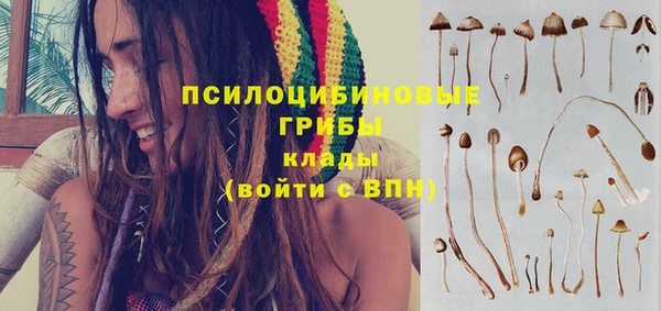 каннабис Алексин