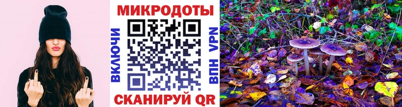 дарнет шоп Уссурийск Псилоцибиновые грибы мицелий